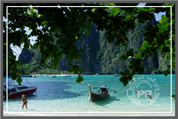 Camping Maya Bay