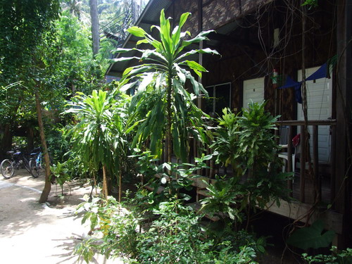 Bungalow