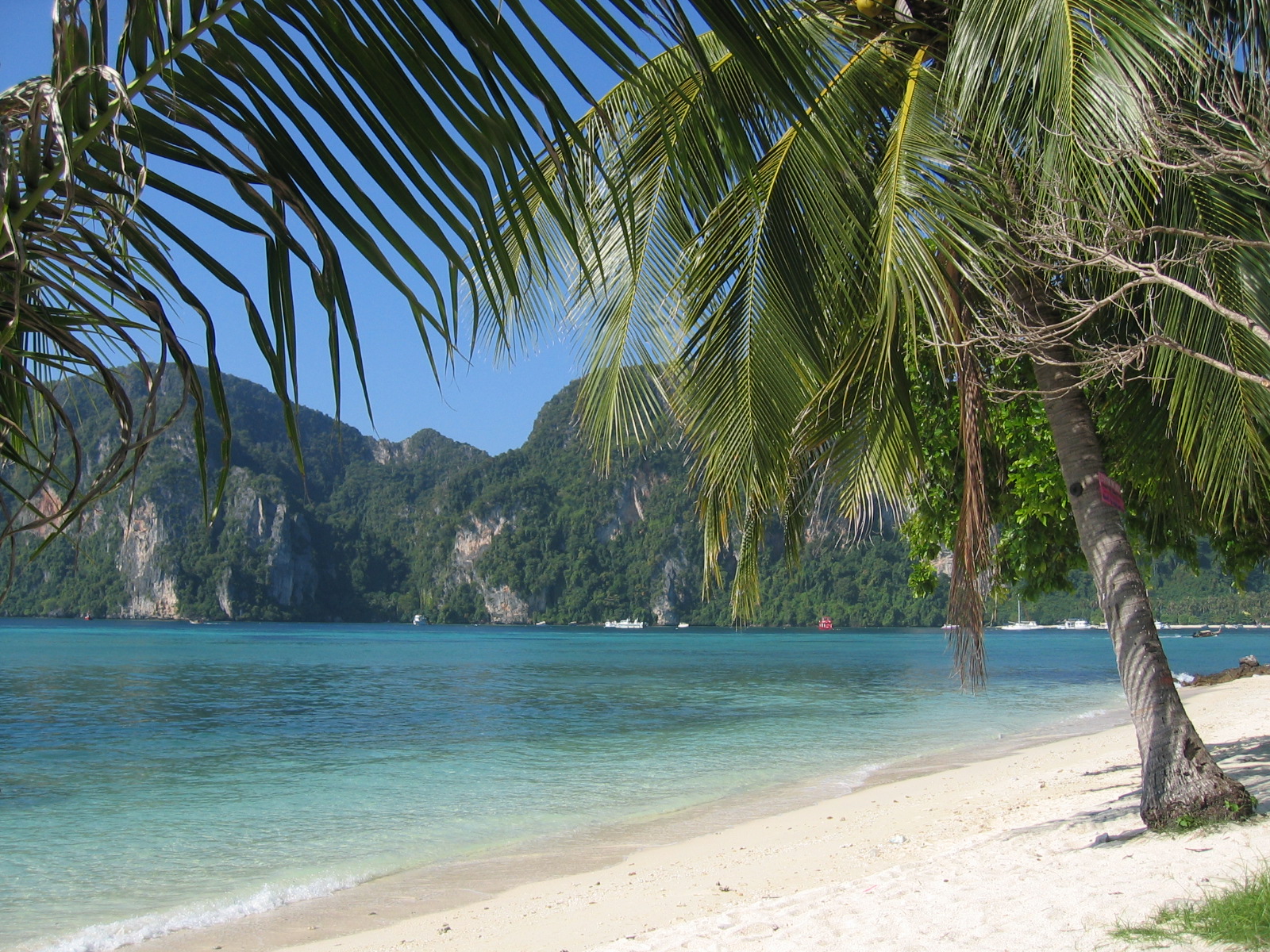 Facilities & Services