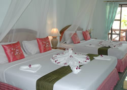 Facilities & Services